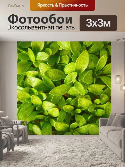Фотообои Листья