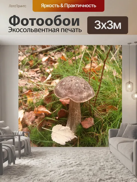 Фотообои Гриб