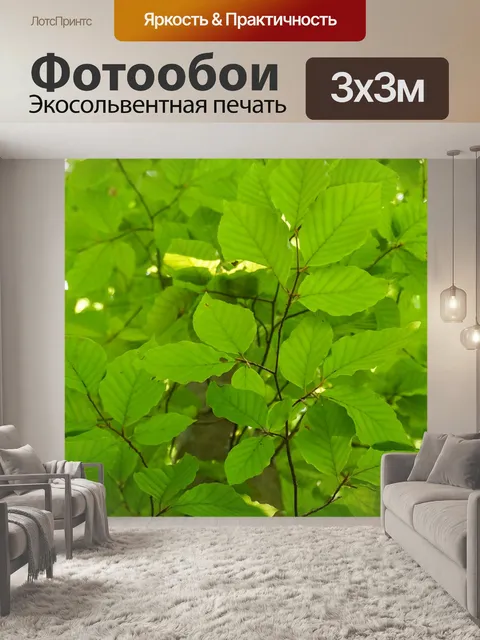 Фотообои Листья