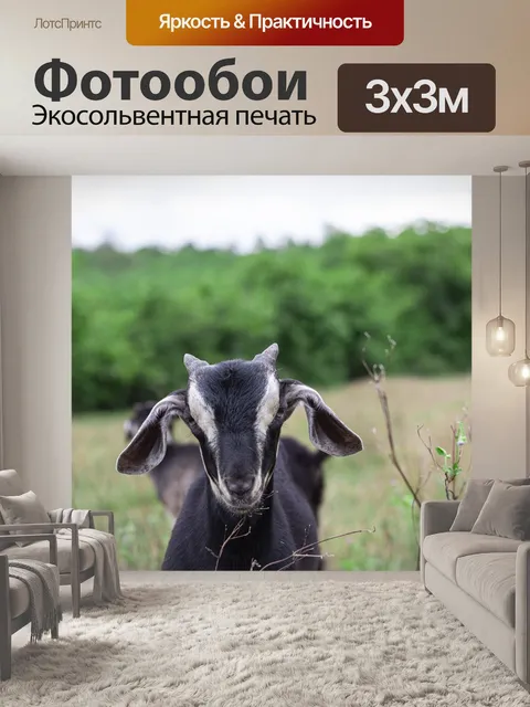 Фотообои Животные