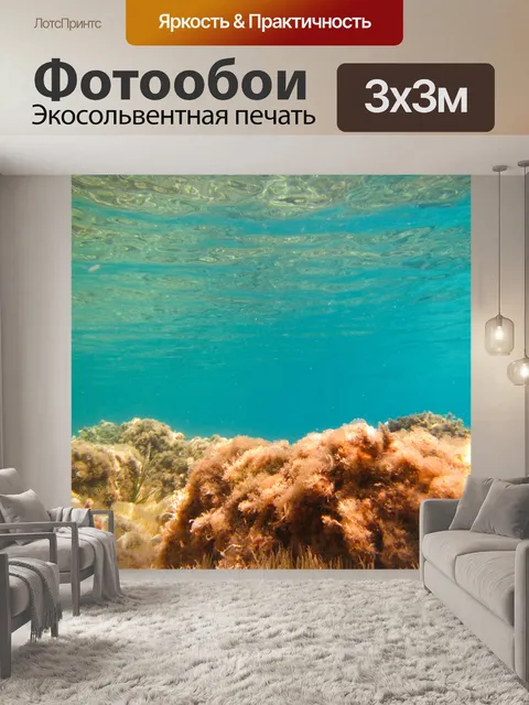 Фотообои Морскому дну под водой
