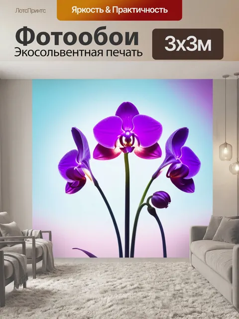 Фотообои с орхидеей минимал