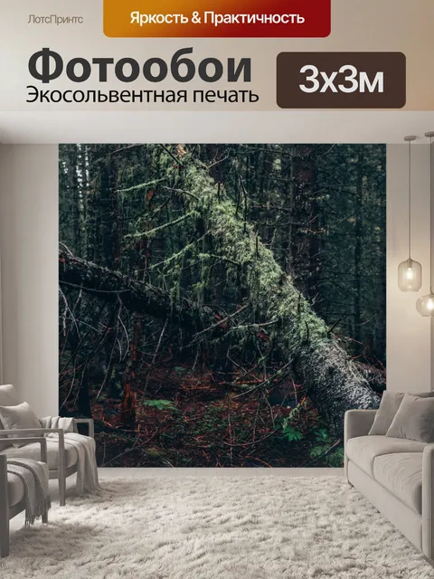 Фотообои Мох