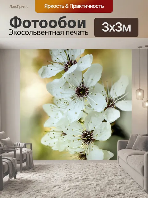 Фотообои Цветы