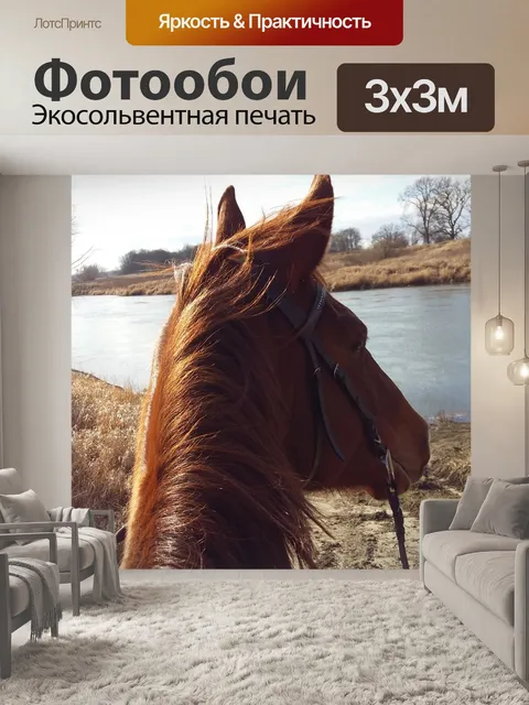 Фотообои Лошадь