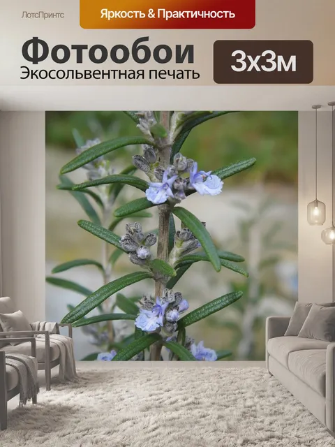 Фотообои Трава