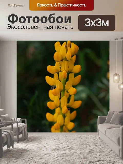 Фотообои Природа