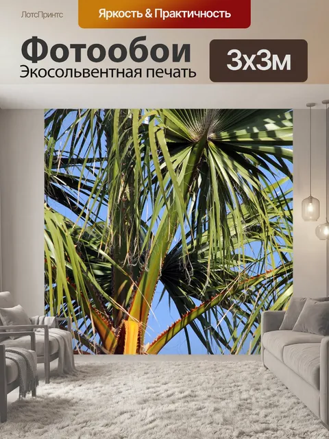 Фотообои Пальмовые деревья