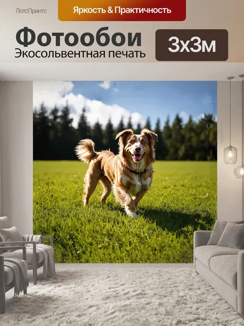 Фотообои собака в ярком травяном поле, её шершавая шерсть блестит на солнце, как гладкий светлый камень