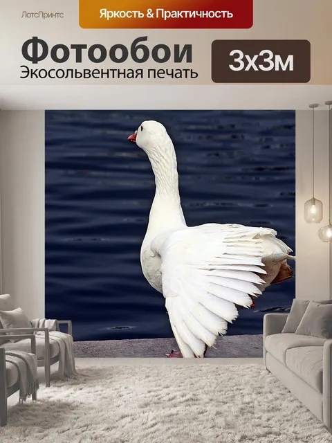 Фотообои Гусь