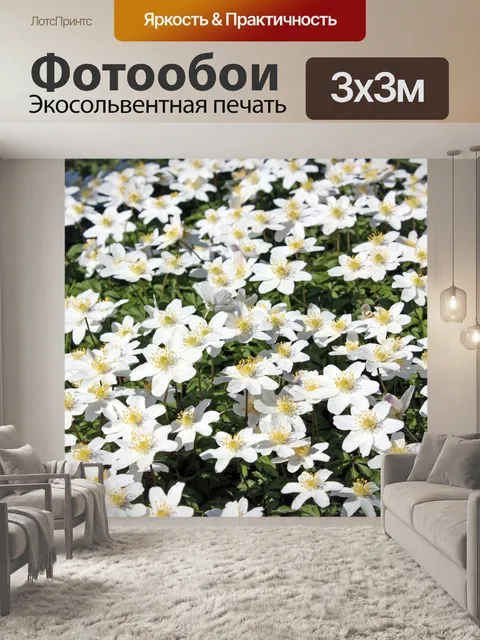 Фотообои Древесные анемоны