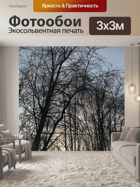 Фотообои Природа