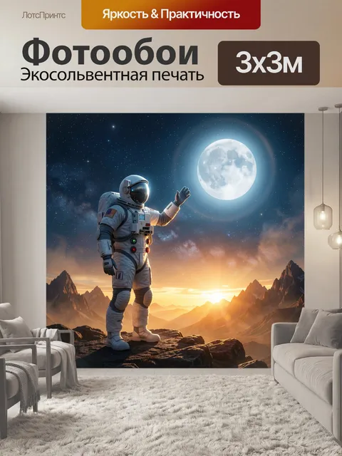 300 × 300 см · Экосольвентная печать