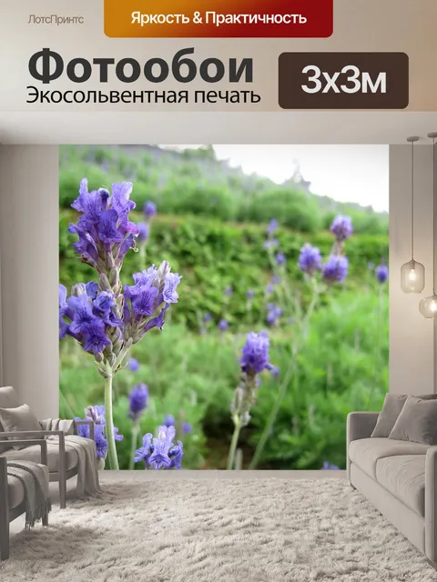 Фотообои Лаванда