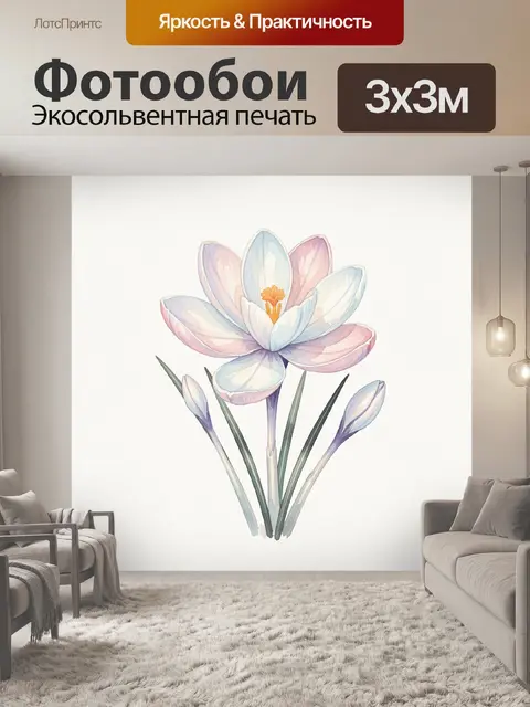 Фотообои Нежный крокус с бутонами