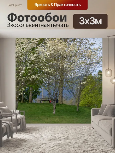 Фотообои Цветение деревьев