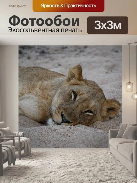 Фотообои Львица