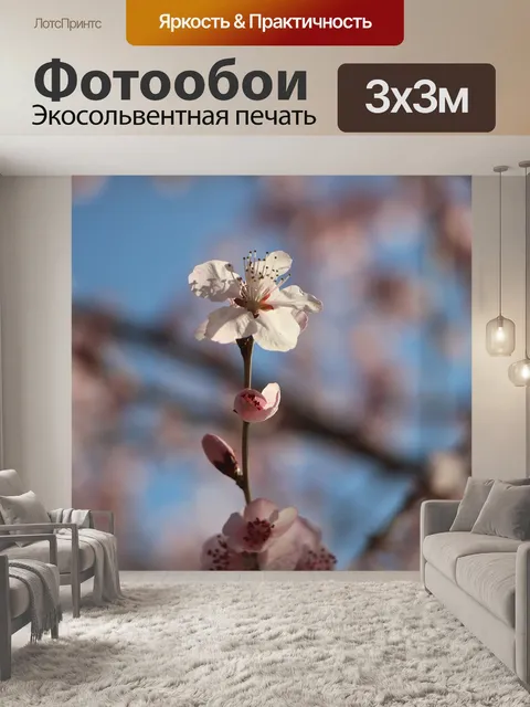 Фотообои Цветок