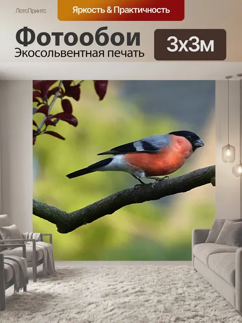 Фотообои Животное