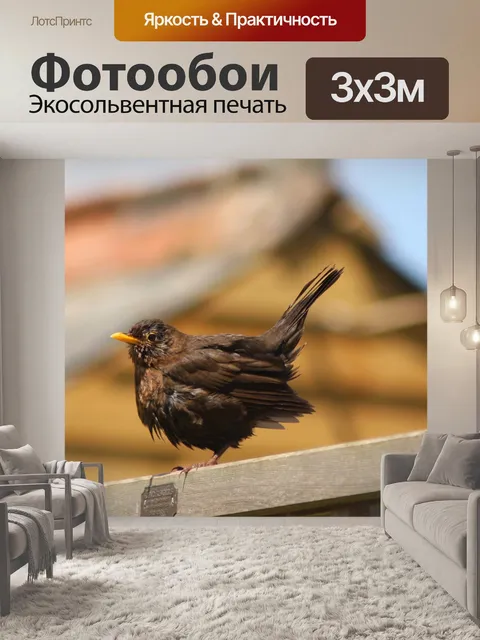 Фотообои Птица