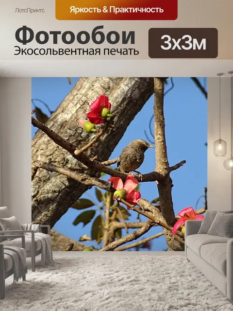 Фотообои Птица