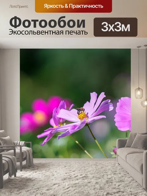 Фотообои Космос