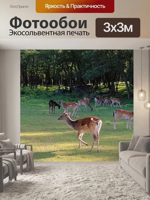 Фотообои Олень