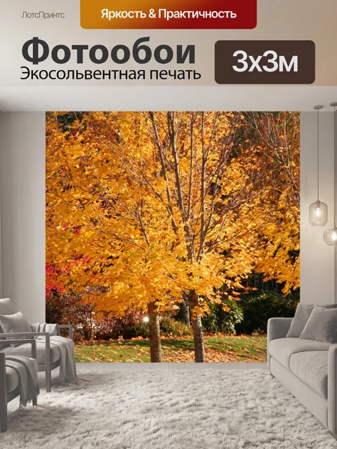 Фотообои Осенние листья