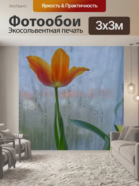 Фотообои Тюльпан