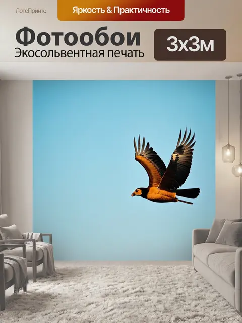 Фотообои животные в стиле минимализм с узорами, напоминающими перья на фоне неба