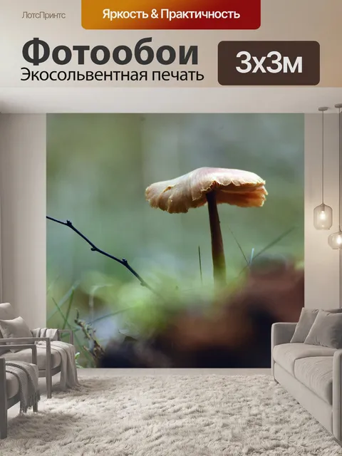 Фотообои Лес
