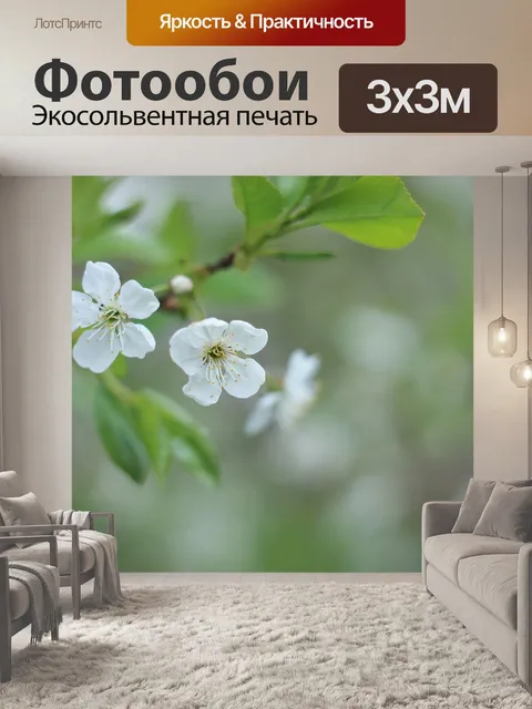 Фотообои Цветы вишни