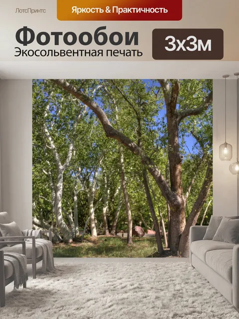 Фотообои деревья