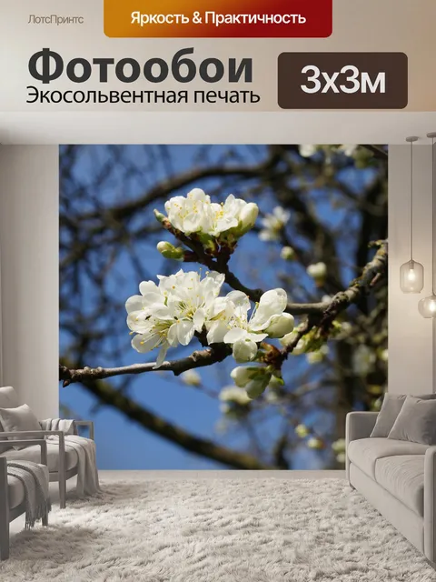 Фотообои Сад