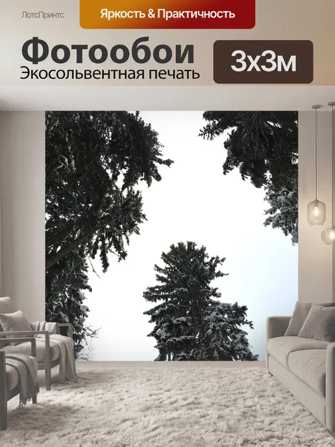 Фотообои Зима