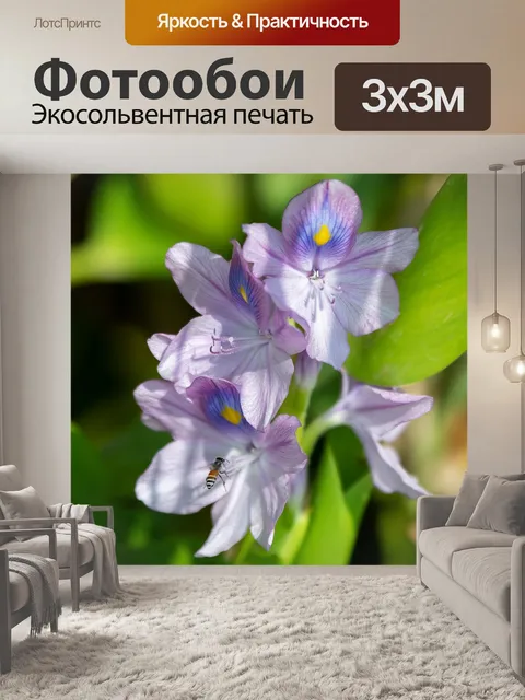 Фотообои Цветы