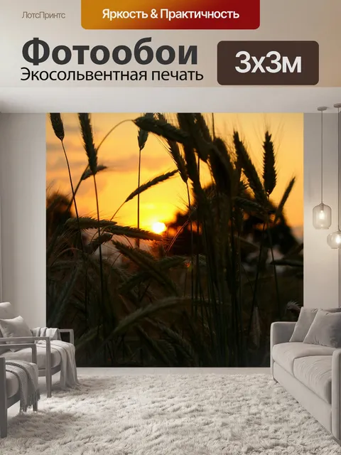 Фотообои Заход солнца