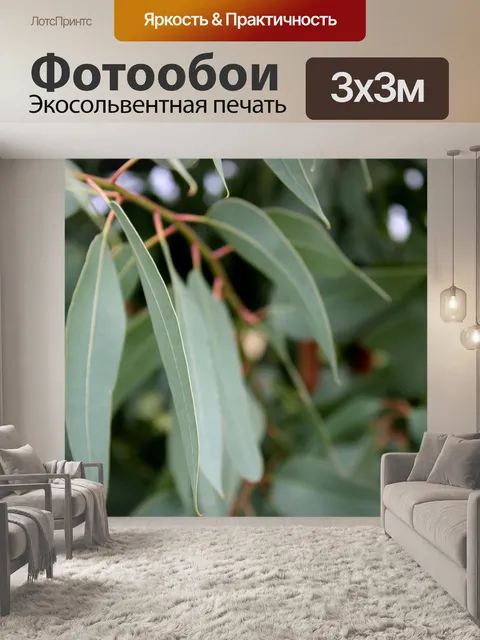 Фотообои Дикая лоза листья