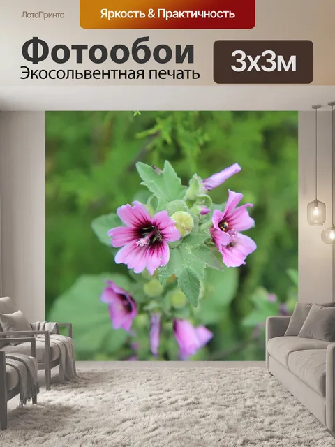 Фотообои Цветок