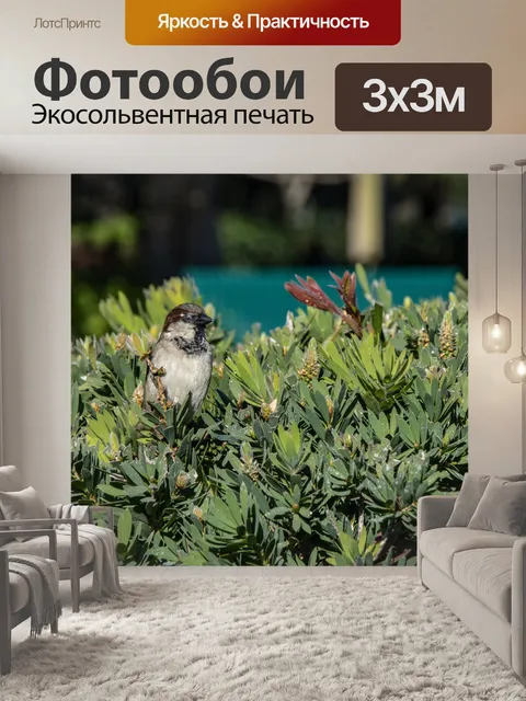 Фотообои Птица в кустах