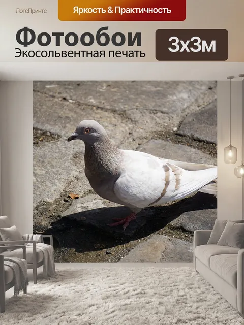 Фотообои Город Pigeon