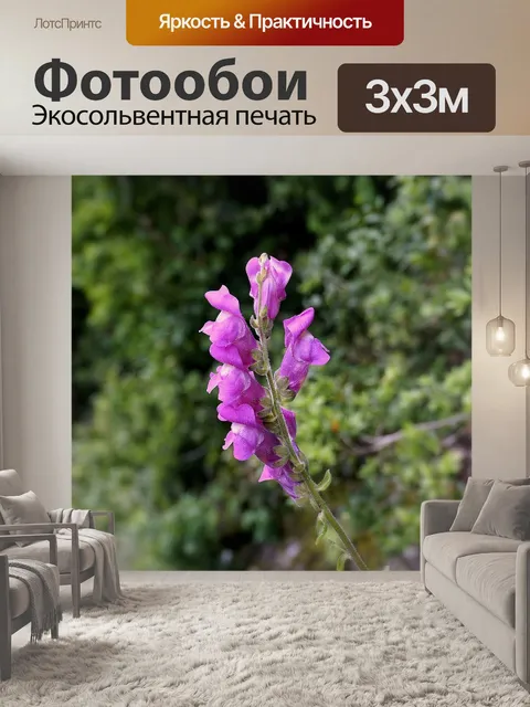 Фотообои Цветы