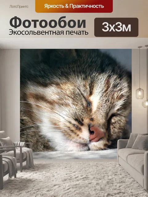 Фотообои Амурский лесной кот