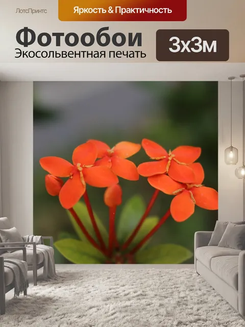Фотообои Природа