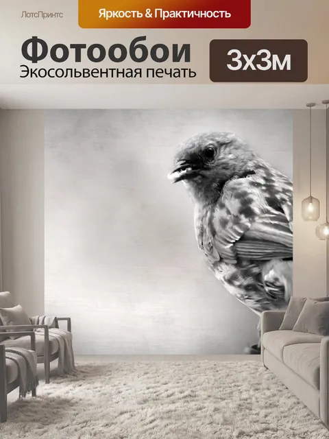 Фотообои Птица