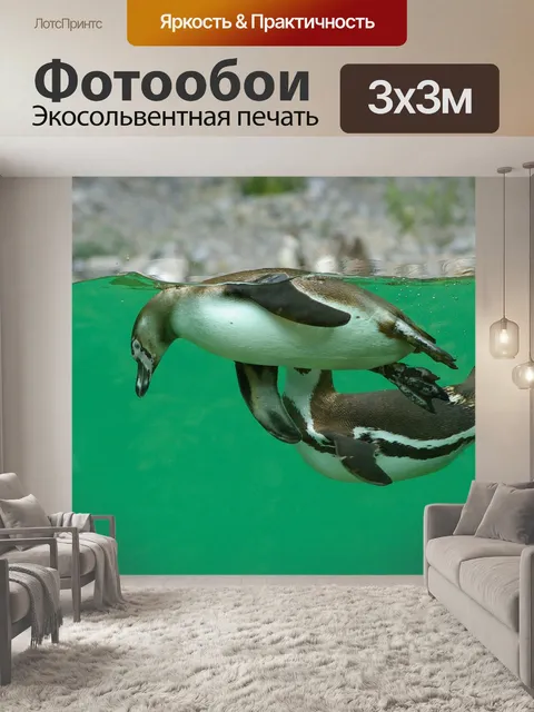 Фотообои Животное