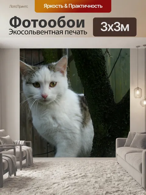 Фотообои Кошка