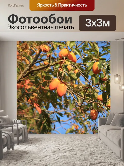 Фотообои Хурма