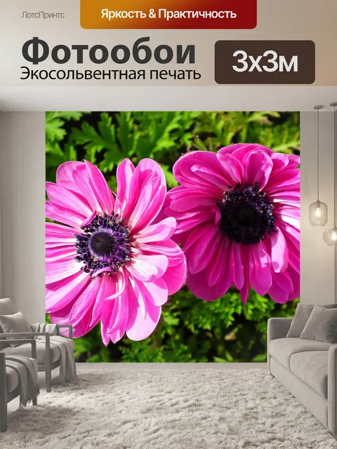 Фотообои Анемоны