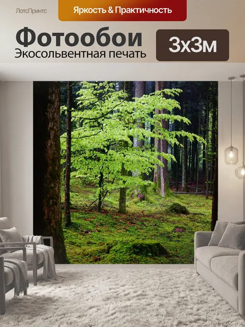 Фотообои Лес